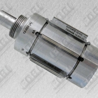 biela11
